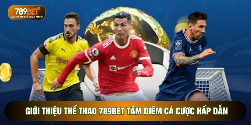 Giới thiệu Thể thao 789BET tâm điểm cá cược hấp dẫn