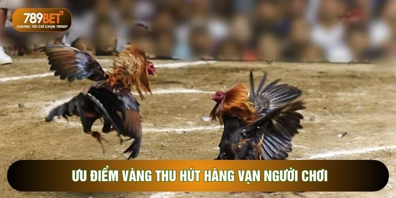Ưu điểm vàng thu hút hàng vạn người chơi